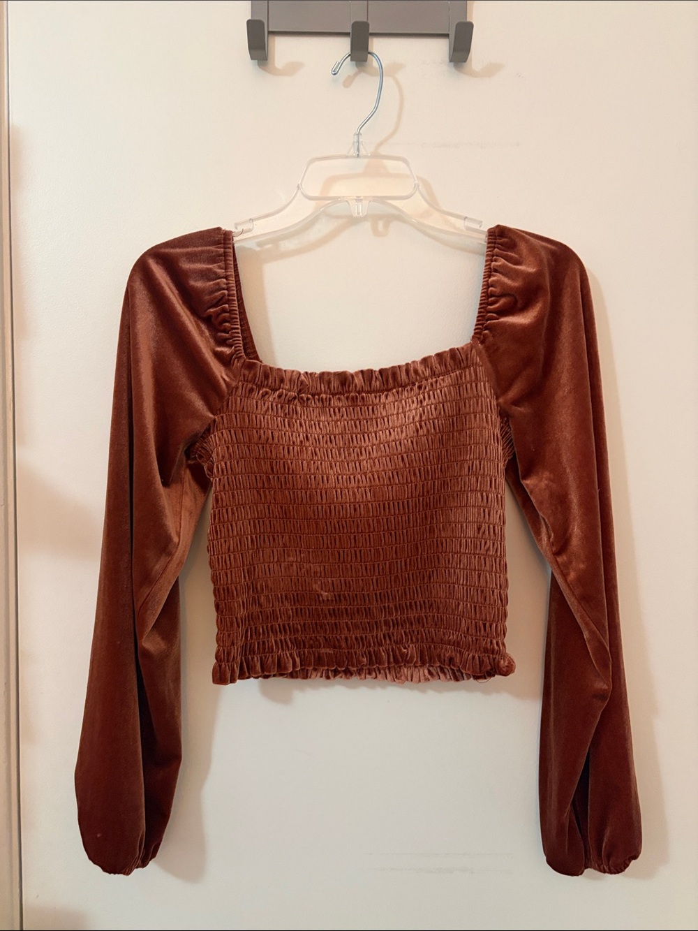 Elodie Rust Blush/Brown Velvet Smocked Crop Top